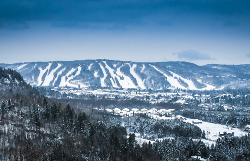 Ability to work with the public - Intermediate skiing or snowboarding