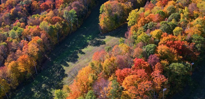 Sommet Saint Sauveur Montagne Automne