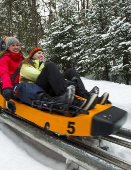 Viking, alpine roller coaster