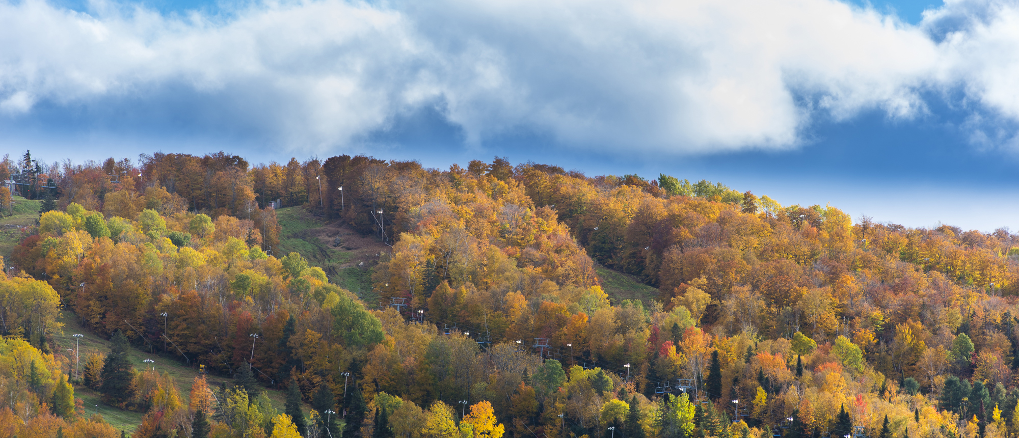 header-quoi-faire-automne