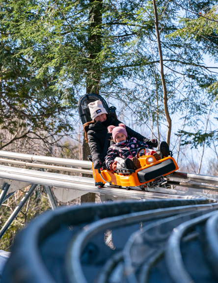 Viking, alpine roller coaster