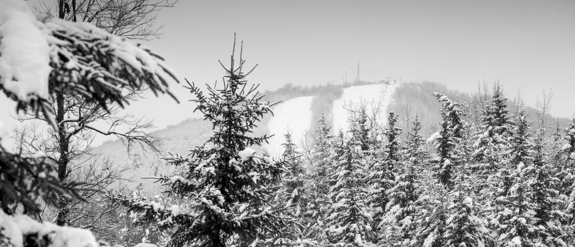 header-meteo