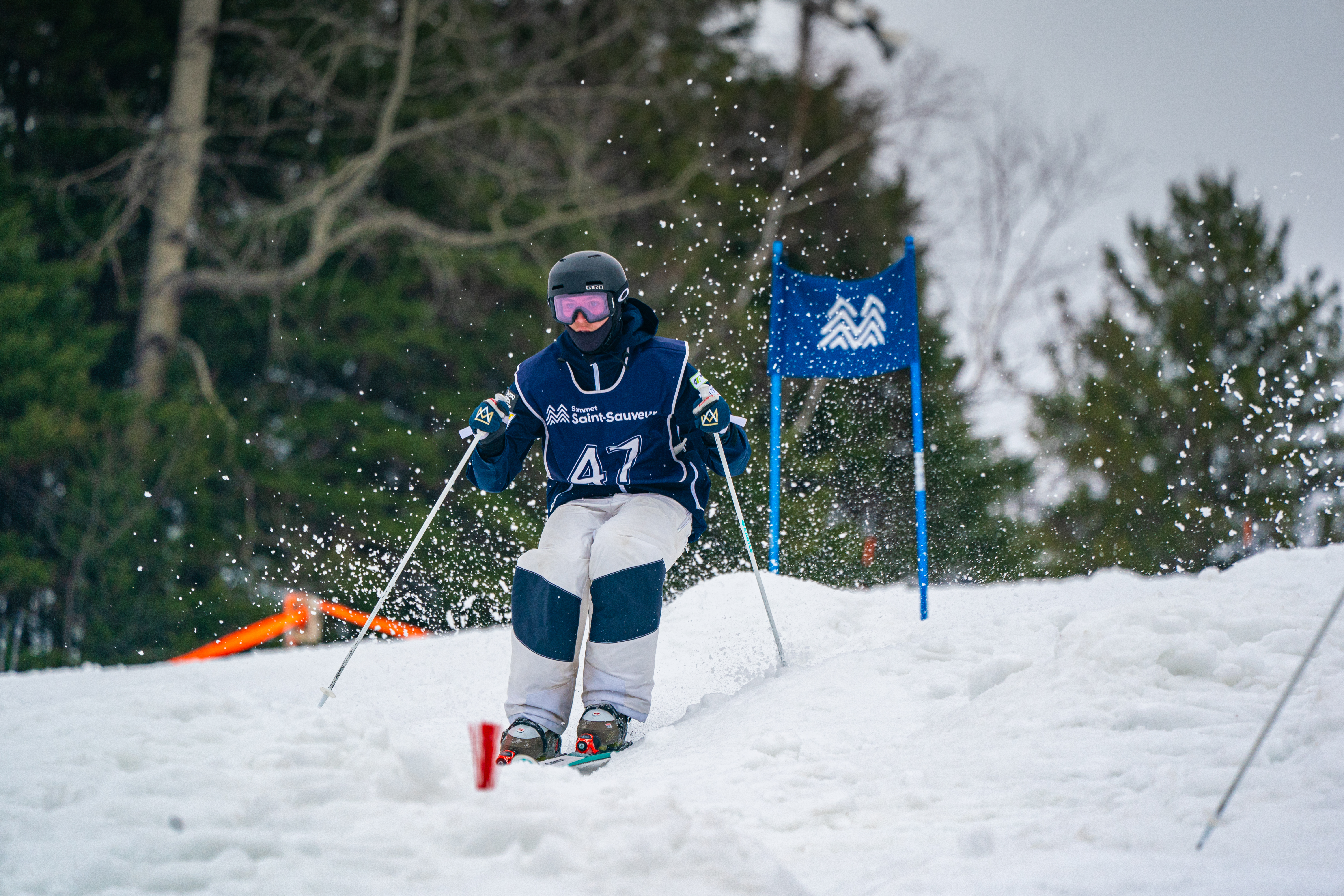 Circuit Provincial de bosses de ski Acrobatique